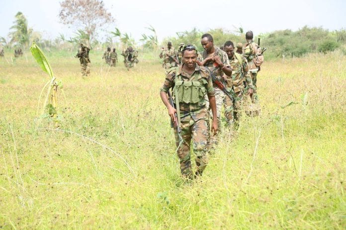 DF oo ka hortagtay weerar ay qorsheynayeen Shabaab