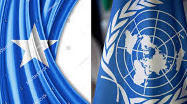 DF iyo QM oo si wadajir ah warsaxafaadeed uga soo saaray xaaladda Somalia